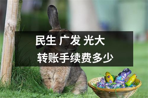 民生 广发 光大 转账手续费多少
