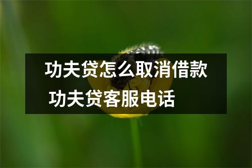 功夫贷怎么取消借款 功夫贷客服电话