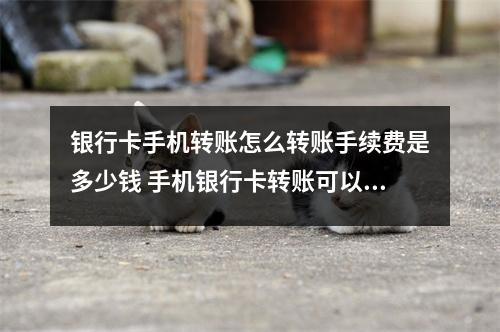 银行卡手机转账怎么转账手续费是多少钱 手机银行卡转账可以撤回么