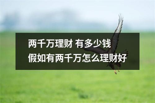 两千万理财 有多少钱 假如有两千万怎么理财好