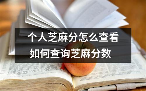 个人芝麻分怎么查看 如何查询芝麻分数