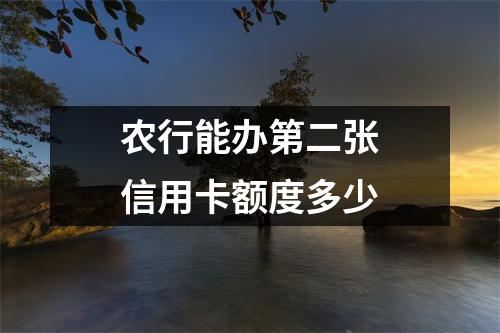 农行能办第二张信用卡额度多少