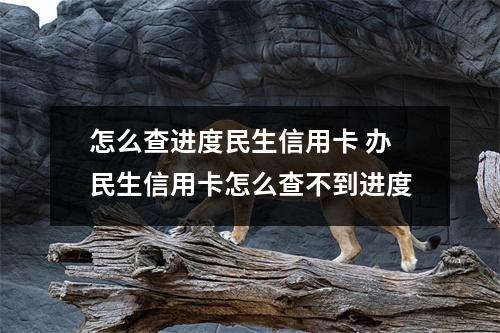 怎么查进度民生信用卡 办民生信用卡怎么查不到进度