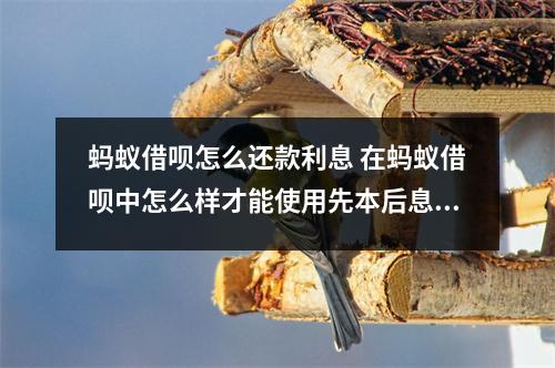 蚂蚁借呗怎么还款利息 在蚂蚁借呗中怎么样才能使用先本后息还款方式