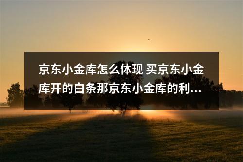 京东小金库怎么体现 买京东小金库开的白条那京东小金库的利息怎么提现呢