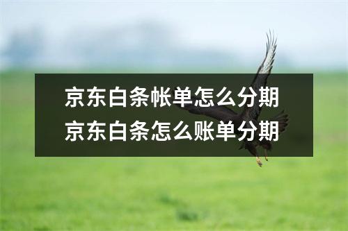 京东白条帐单怎么分期 京东白条怎么账单分期
