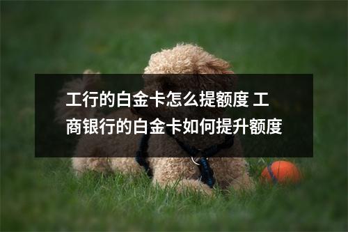 工行的白金卡怎么提额度 工商银行的白金卡如何提升额度