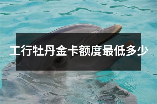 工行牡丹金卡额度最低多少