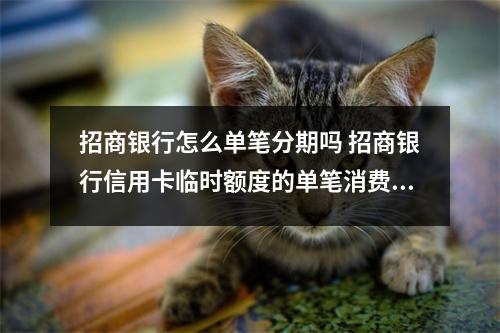 招商银行怎么单笔分期吗 招商银行信用卡临时额度的单笔消费可以分期么