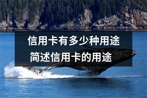 信用卡有多少种用途 简述信用卡的用途