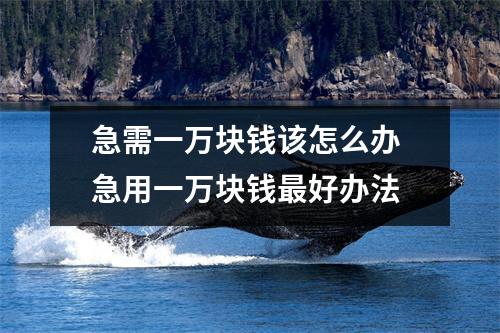 急需一万块钱该怎么办 急用一万块钱最好办法