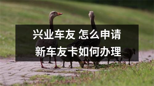 兴业车友 怎么申请 新车友卡如何办理