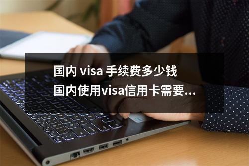 国内 visa 手续费多少钱 国内使用visa信用卡需要手续费吗