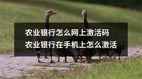 农业银行怎么网上激活码 农业银行在手机上怎么激活
