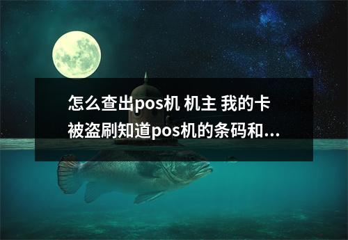 怎么查出pos机 机主 我的卡被盗刷知道pos机的条码和代码如何查到机主的姓名跟地址了