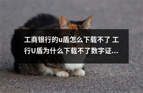 工商银行的u盾怎么下载不了 工行U盾为什么下载不了数字证书急