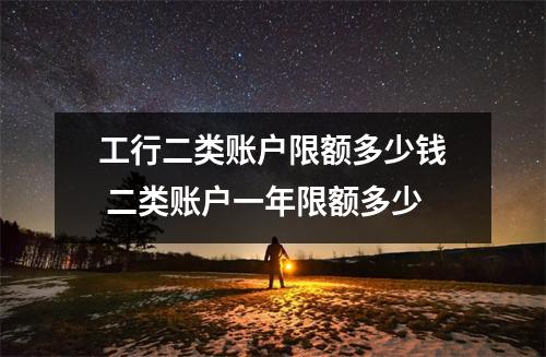 工行二类账户限额多少钱 二类账户一年限额多少