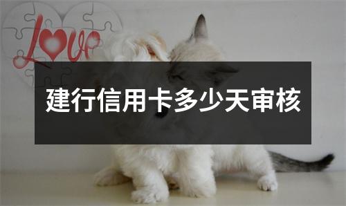 建行信用卡多少天审核