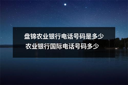 盘锦农业银行电话号码是多少 农业银行国际电话号码多少