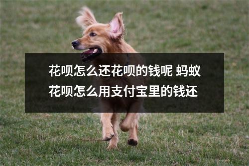 花呗怎么还花呗的钱呢 蚂蚁花呗怎么用支付宝里的钱还