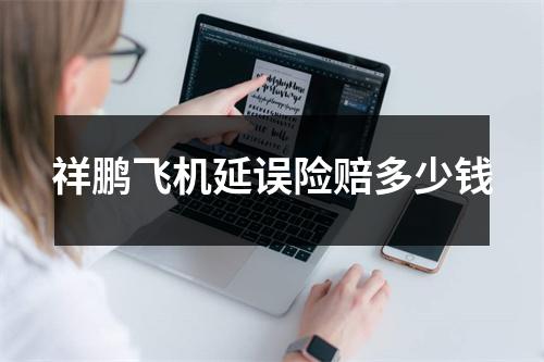 祥鹏飞机延误险赔多少钱