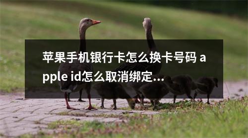苹果手机银行卡怎么换卡号码 apple id怎么取消绑定的银行卡