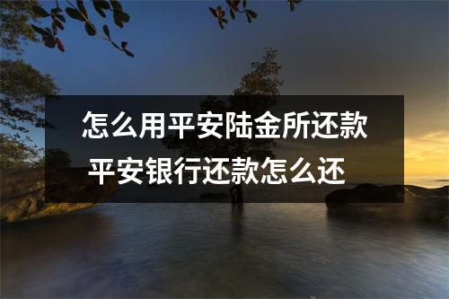 怎么用平安陆金所还款 平安银行还款怎么还