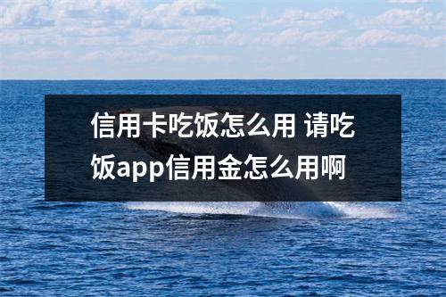 信用卡吃饭怎么用 请吃饭app信用金怎么用啊