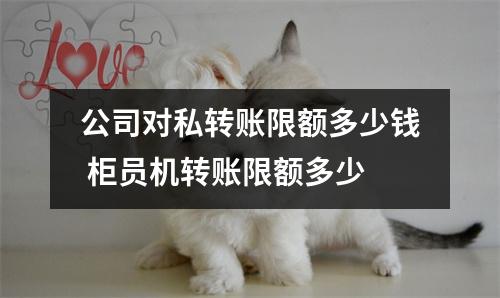 公司对私转账限额多少钱 柜员机转账限额多少