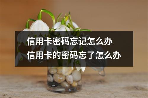 信用卡密码忘记怎么办 信用卡的密码忘了怎么办