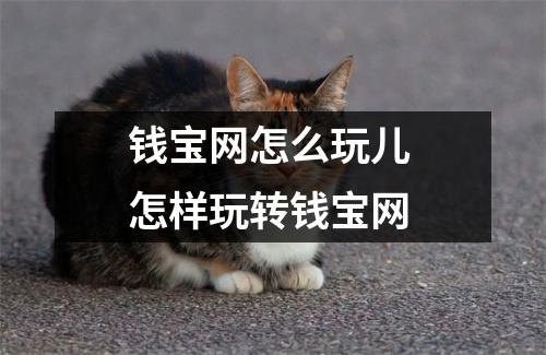 钱宝网怎么玩儿 怎样玩转钱宝网