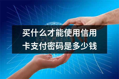 买什么才能使用信用卡支付密码是多少钱