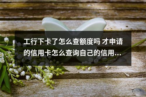 工行下卡了怎么查额度吗 才申请的信用卡怎么查询自己的信用卡额度