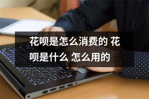 花呗是怎么消费的 花呗是什么 怎么用的