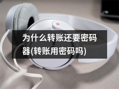 为什么转账还要密码器(转账用密码吗)