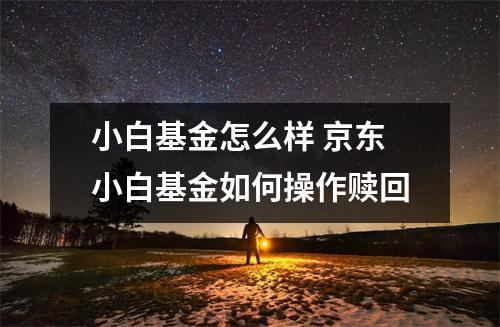 小白基金怎么样 京东小白基金如何操作赎回