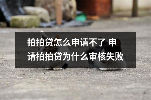 拍拍贷怎么申请不了 申请拍拍贷为什么审核失败