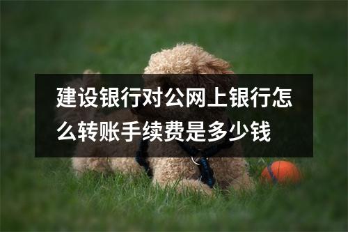 建设银行对公网上银行怎么转账手续费是多少钱