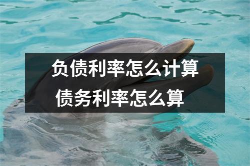 负债利率怎么计算 债务利率怎么算