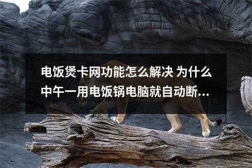 电饭煲卡网功能怎么解决 为什么中午一用电饭锅电脑就自动断网了 而且电子万年历显示的数字