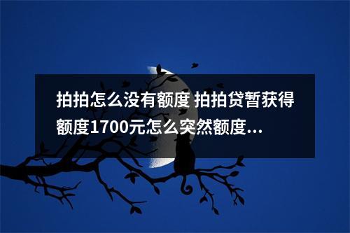 拍拍怎么没有额度 拍拍贷暂获得额度1700元怎么突然额度就没了