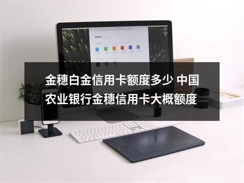 金穗白金信用卡额度多少 中国农业银行金穗信用卡大概额度