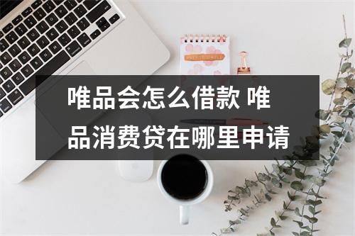 唯品会怎么借款 唯品消费贷在哪里申请