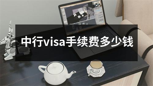 中行visa手续费多少钱