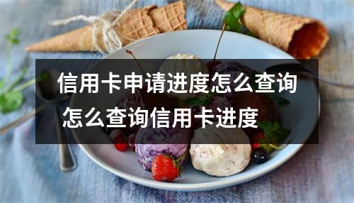 信用卡申请进度怎么查询 怎么查询信用卡进度