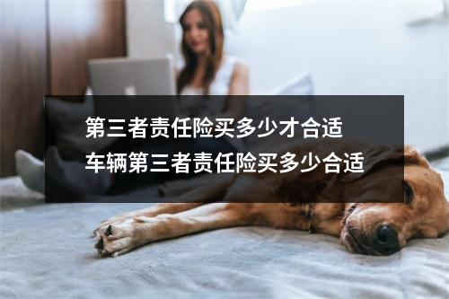 第三者责任险买多少才合适 车辆第三者责任险买多少合适