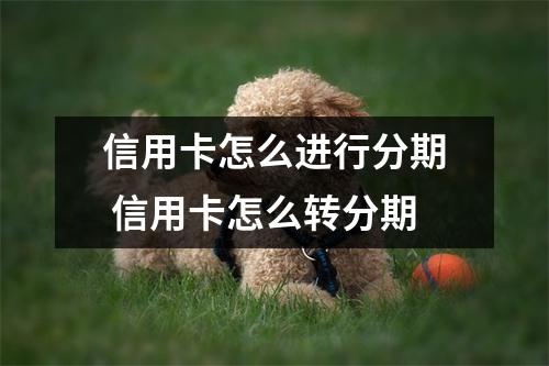 信用卡怎么进行分期 信用卡怎么转分期