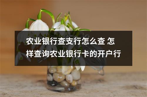 农业银行查支行怎么查 怎样查询农业银行卡的开户行