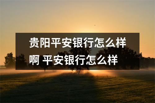贵阳平安银行怎么样啊 平安银行怎么样
