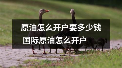 原油怎么开户要多少钱 国际原油怎么开户